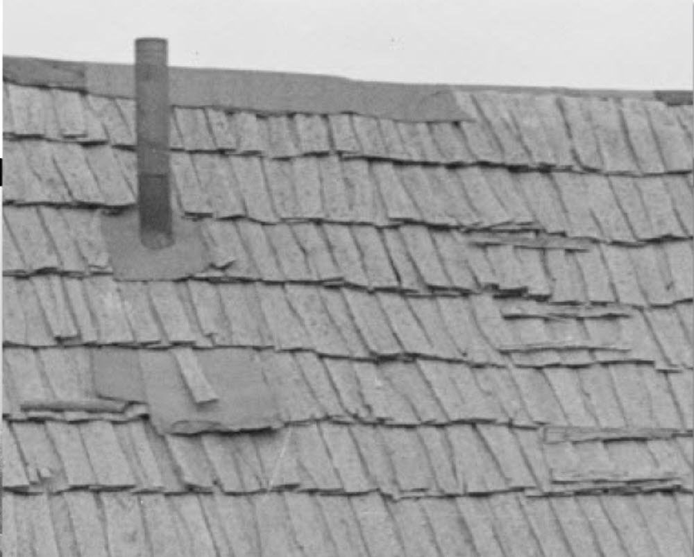 Roof of the House