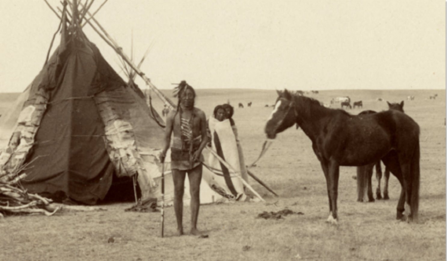 Blackfoot people with tipi and horses.