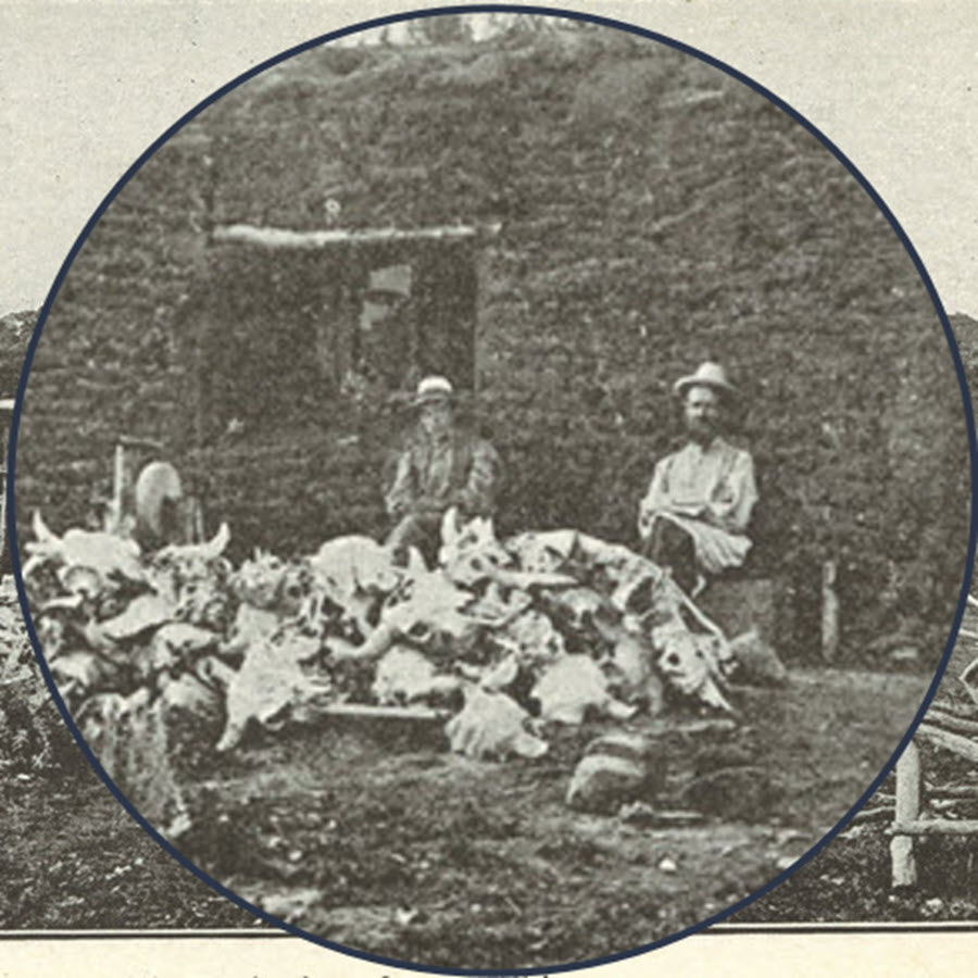 Sitting with a pile of bones.