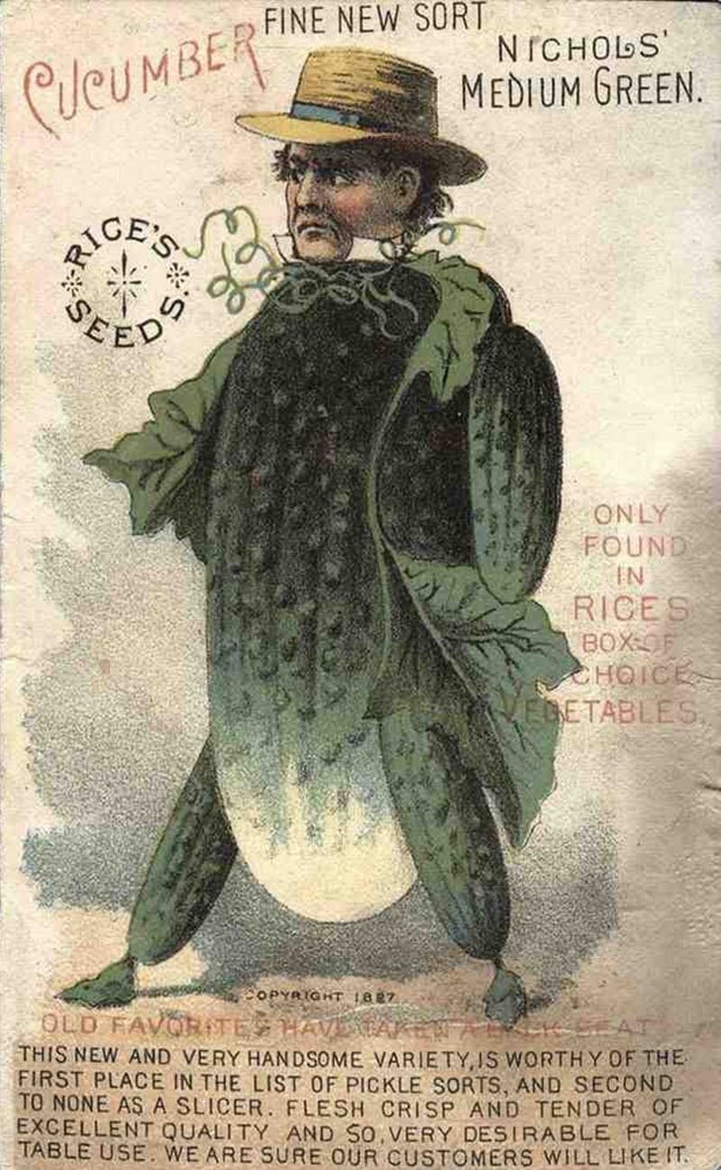 cucumberman