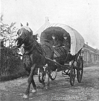 Horse Drawn Cart