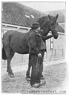 Man With Horse