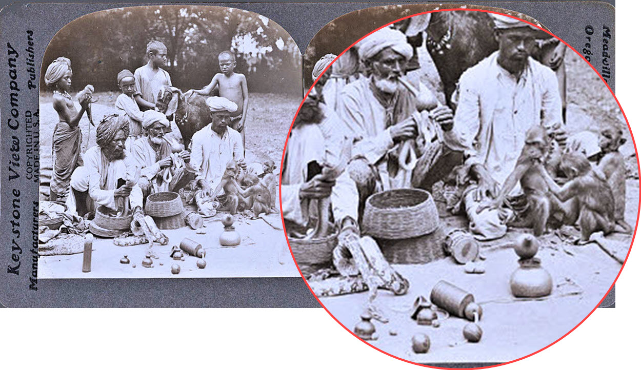 Snake Charmers And Jugglers Of India Monkeysmagnified