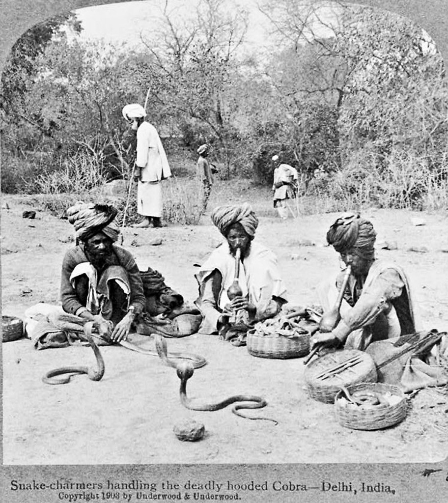 Snake Charmers Handling The Deadly Hooded Cobra Delhi In 014