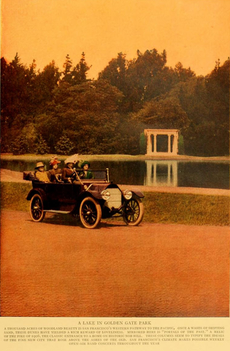 Out for a Drive