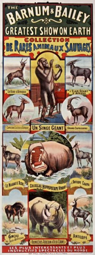 the greatest show on earth