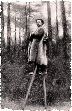 Stilt Walkers